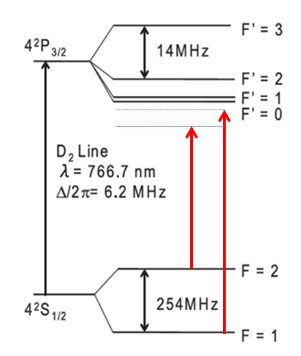 The energy level diagram of 41 K. Hyperfine splitting between F'=2 and ...