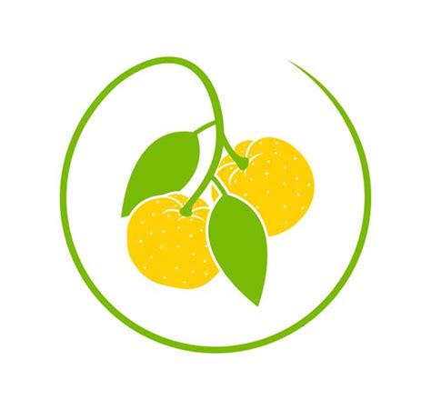 40+ Yuzu Farm Stock Illustrations, Royalty-Free Vector Graphics & Clip Art - iStock