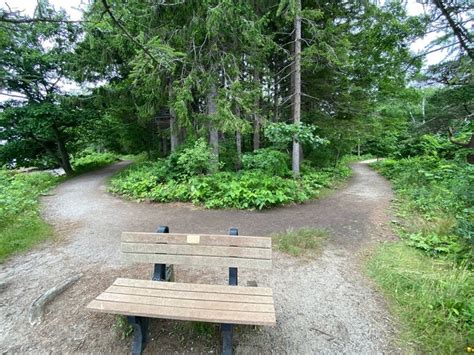 Mackworth Island Trail Is An Easy Hike In Maine With Unforgettable Views