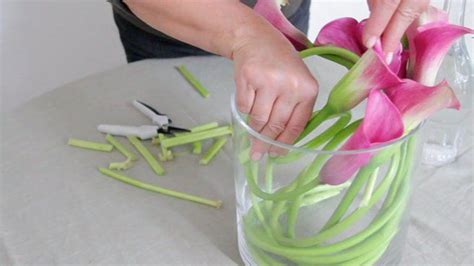 Vidéo : 3 façons de customiser un vase transparent avec des fleurs | Idée déco vase transparent ...