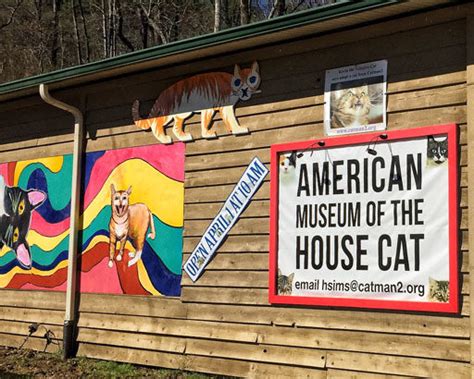 A Museum Devoted Entirely To Cats - Museum of the House Cat