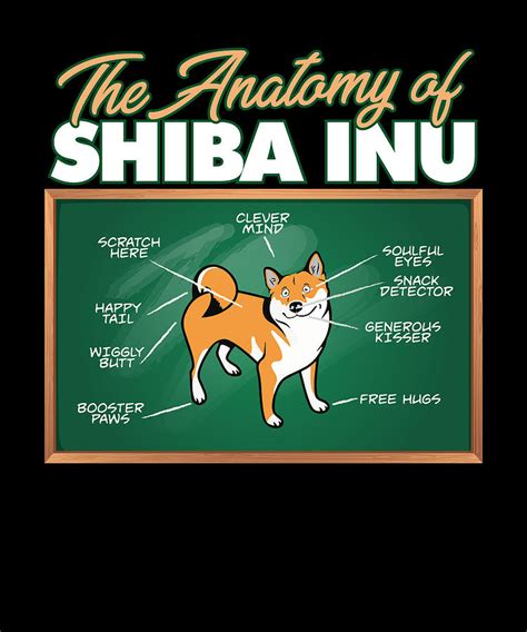 Anatomy Of A Shiba Inu I Funny Shiba Digital Art by Maximus Designs