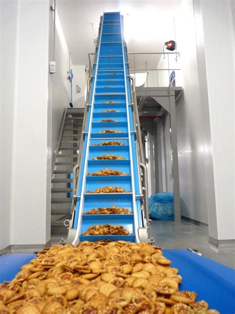 Food Processing Conveyor Belts: Monolithic Vs. Modular Plastic ...