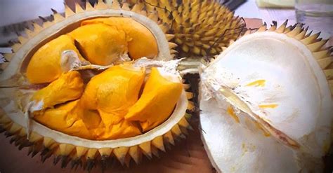 Mengenal Buah Lai, Alternatif Durian yang Tidak Berbau Menyengat - Bagian 2