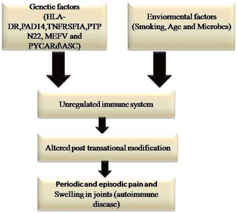 Schematic representation of factors for development of Palindromic... | Download Scientific Diagram