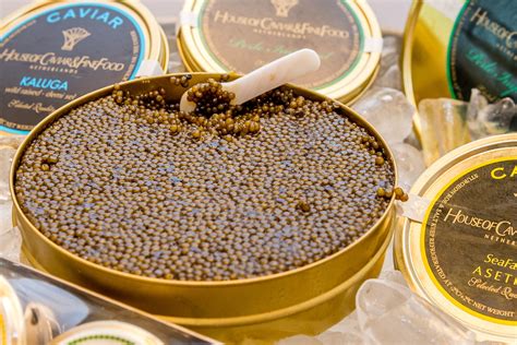 Caviar: Nutrition facts and Information - Fish & Caviar