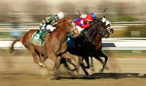 Best US Horse Racing Betting Sites Online (March 2021)