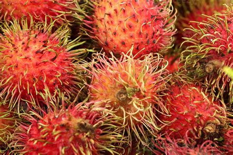 Rambutan 938768 Stock Photo at Vecteezy