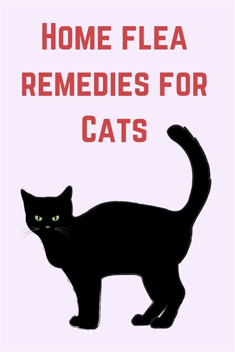 home flea and tick remedies for cats | Home remedies for fleas, Cat ...