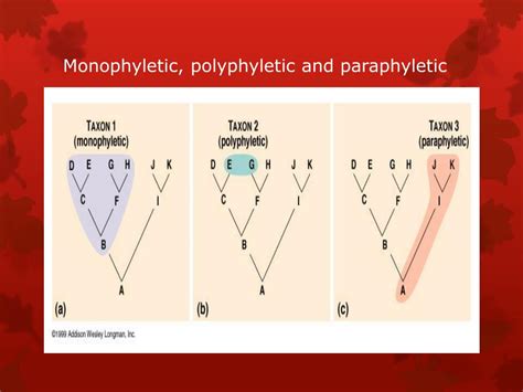 PPT - Advanced Biology Chapter 23 Systematics and Phylogenetic ...