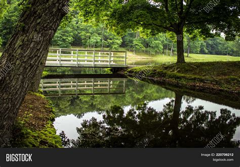 Beautiful Ohio Forest Image & Photo (Free Trial) | Bigstock