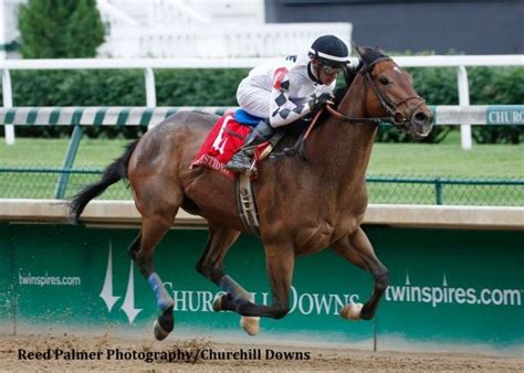 Alsvid Conquers Champion Work All Week In Aristides - Paulick Report ...