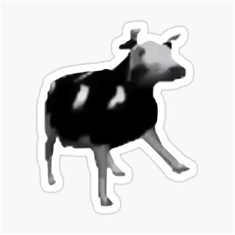 "Polish Dancing Cow Meme" Sticker by Beepymallow | Redbubble