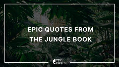 14 Epic Quotes From The Jungle Book - Epic Quotes