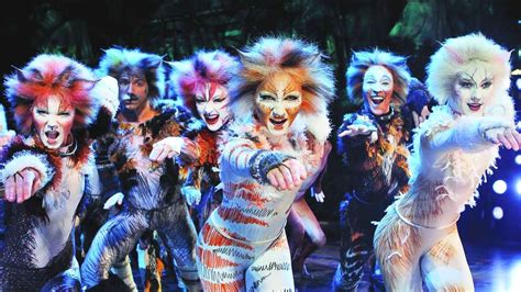 Cats Musical in Broadway NYC: everything you need to know about the show - Hellotickets