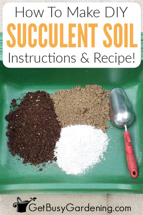 How To Make Your Own Succulent Soil (With Recipe!) - Get Busy Gardening