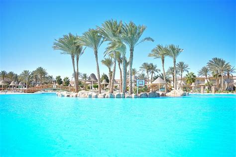 Parrotel Beach Resort Pool: Pictures & Reviews - Tripadvisor