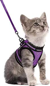 The Ultimate Buying Guide for Cat Harness: Types, Key Considerations ...