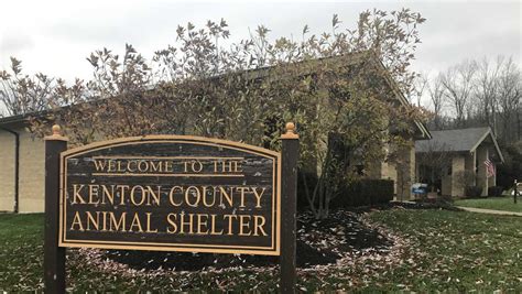 Kenton County Animal Shelter waives adoption fees in December