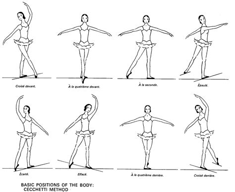 8 ballet body positions | Ballet positions, Ballet moves, Ballet lessons