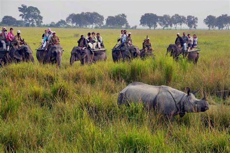 Kaziranga & Manas National Park Wildlife Tours Package