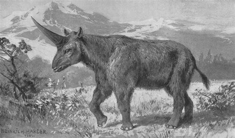 Siberian 'unicorns' extinct much later than believed