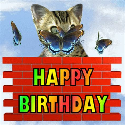 Funny Happy Birthday Happy Birthday Kitten GIF – Funny Happy Birthday Happy Birthday Kitten ...