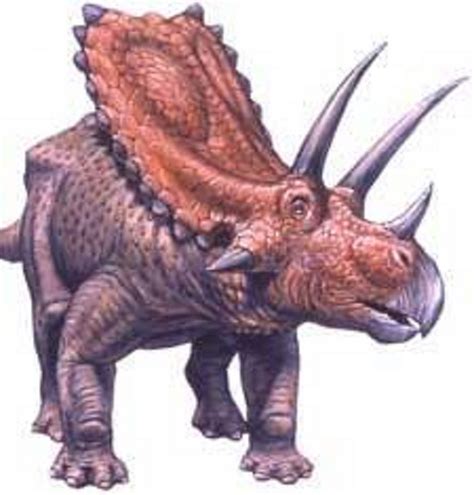 Art illustration - Dinosaurs - Pentaceratops: ("five-horned face") is sort represented by ...