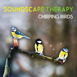 Тональность/Темп из Soundscape Therapy: Chirping Birds, Music with Bird ...