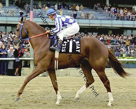 Vintage secretariat kentucky derby ron turcotte race horse pic photo ...