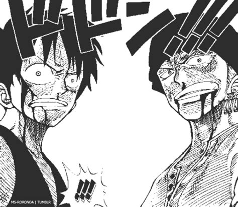 Zoro And Luffy Fight