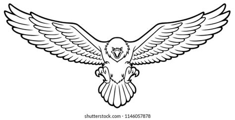 Bald Eagle Line Art: Over 1,201 Royalty-Free Licensable Stock Vectors & Vector Art | Shutterstock