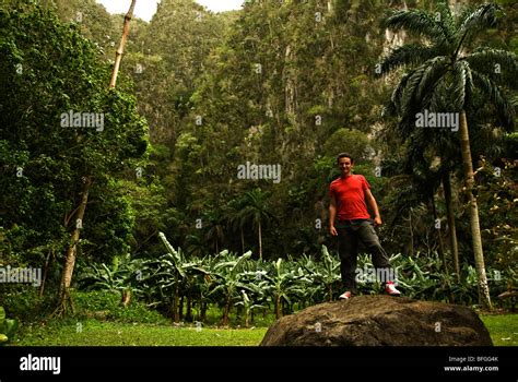 Viñales Indian caves Cuba Stock Photo - Alamy