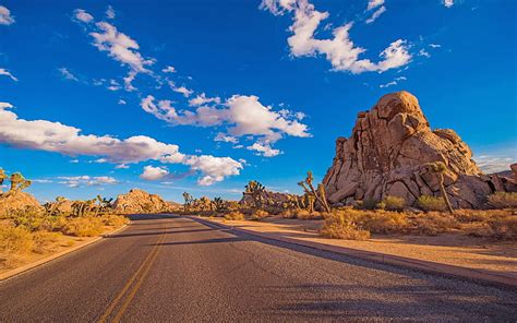 HD wallpaper: Desert Road Joshua Tree National Park Is A Protected Area In Southern California ...