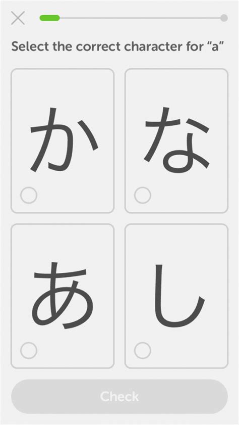 Duolingo Japanese Review - Team Japanese