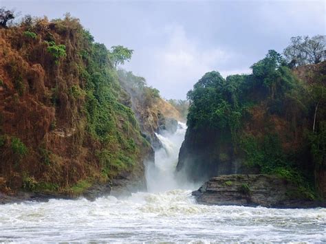 Visitor's Guide to Murchison Falls National Park in Uganda - Exploring Wild