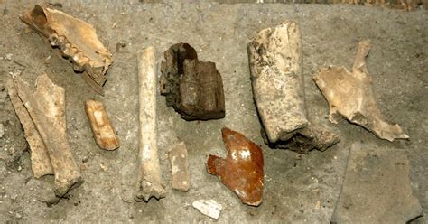 What is Experimental Archaeology? | Anthroholic