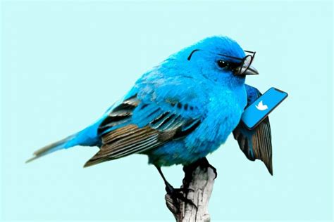 Using Twitter for customer service may be a good approach for companies | GlobalCom PR Network