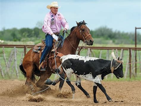 Trying New Things with Clay O'Brien Cooper | Team roping, Bull riding ...