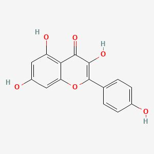 Kaempferol | C15H10O6 | CID 5280863 - PubChem