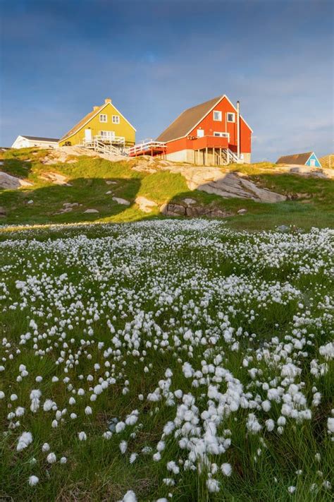 Greenland View of Colorful Houses in Ilulissat City and Icefjord ...