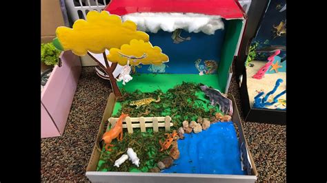 2nd Grade Science Diorama Project - Habitat of Animals - YouTube