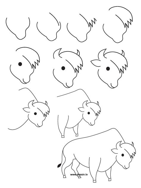 Buffalo Outline Drawing at GetDrawings | Free download