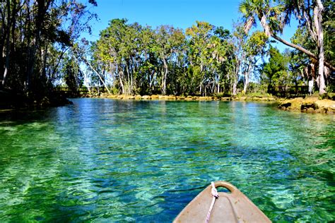 Crystal River, visitas cerca de Miami, manatíes en Florida, precios ...