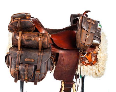 On Top saddlebags in leather | Saddle bags horse, Leather, Horse accessories