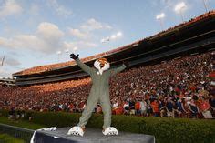 Aubie