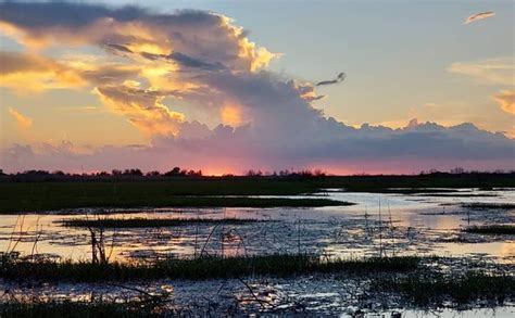 Lake Apopka Wildlife Trail - 2021 All You Need to Know Before You Go (with Photos) - Apopka, FL ...