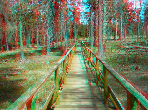 3D woods and bridge..amazing! View this photo in its largest resolution ...