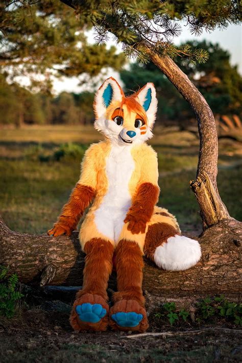 Fuzzer fox, cute, fox, furry, fursuit, HD phone wallpaper | Peakpx