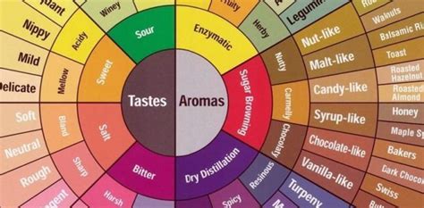 SCAA Unveils a Whole New Coffee Taster’s Flavor Wheel | Daily Coffee ...